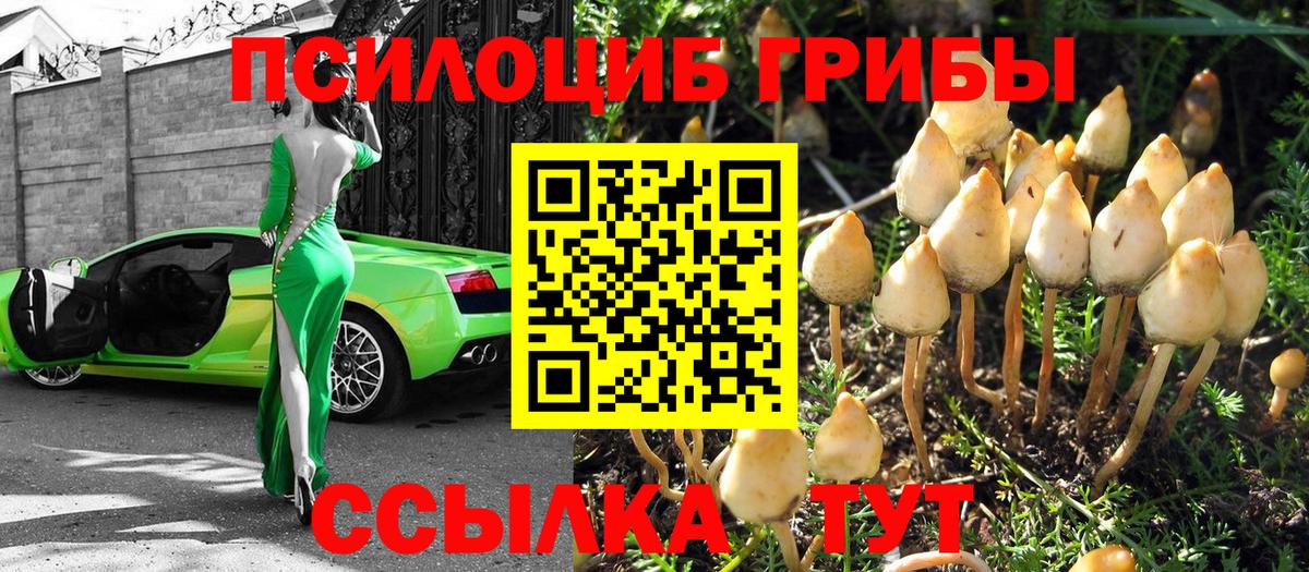 Горно-Алтайск  Галлюциногенные грибы ЛСД  Вход с VPN  Галлюциногенные грибы мицелий 