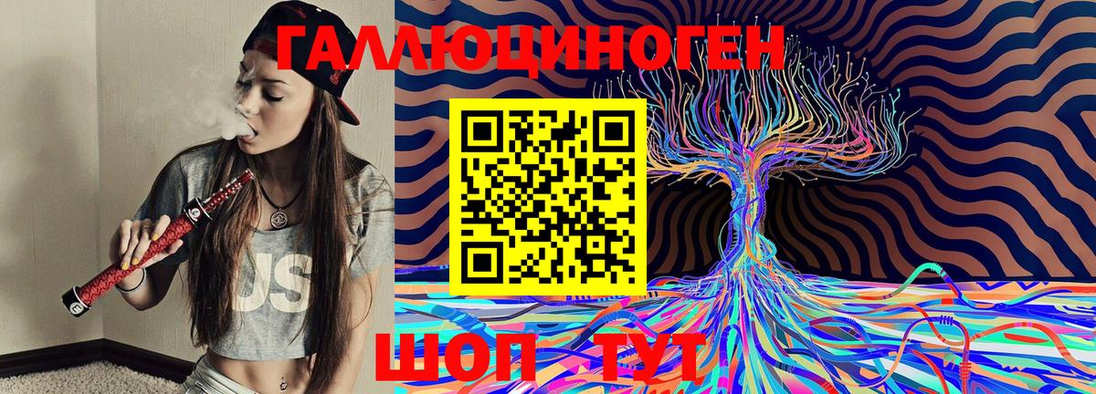Галлюциногенные грибы Cubensis Горно-Алтайск